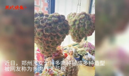 日本肉肉视频,揭秘独特美食文化魅力